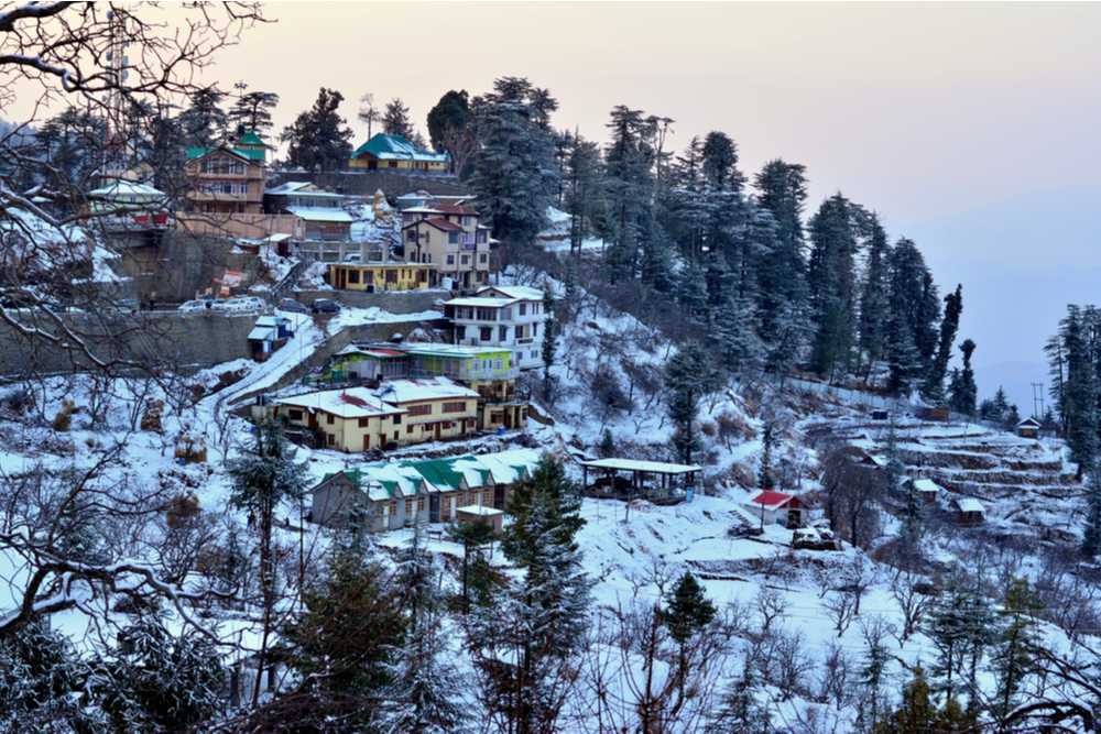 Shimla Volvo